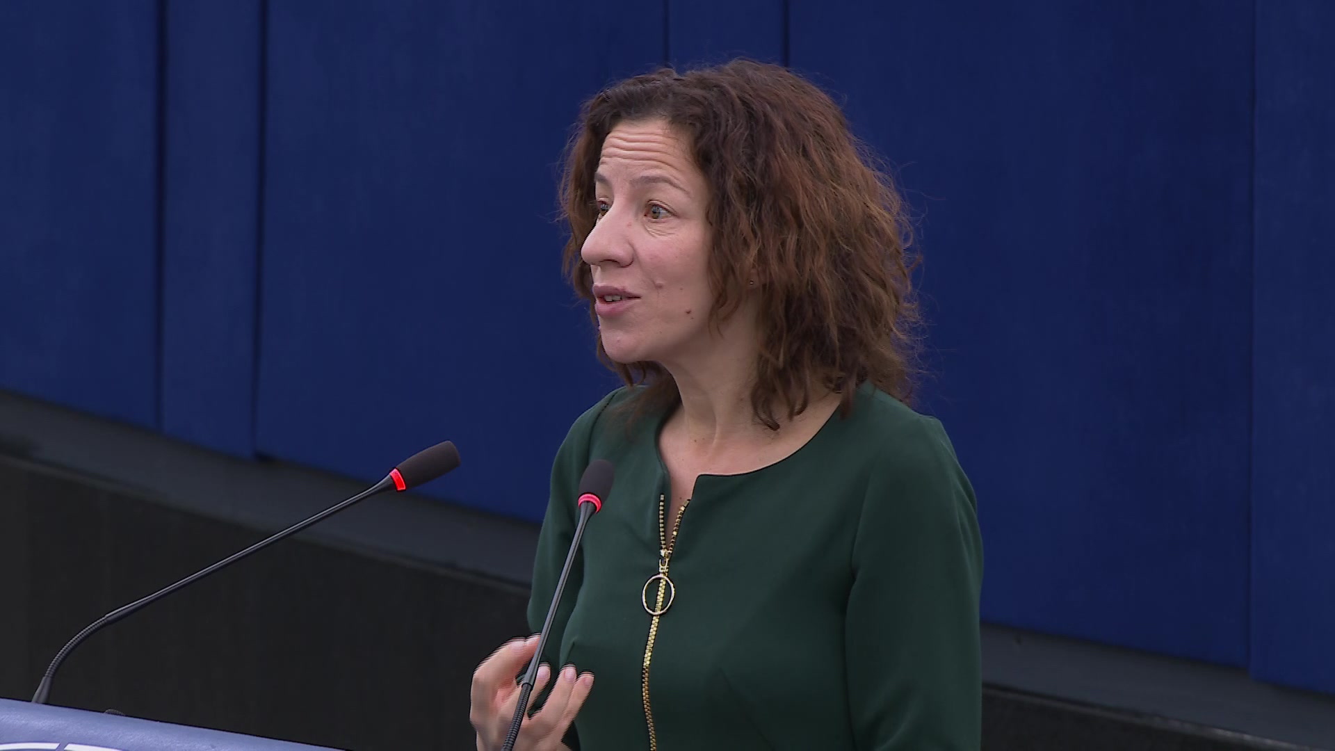 Drones and new systems of warfare – the EU’s need to adapt to be fit for today’s security challenges: closing statements by Roxana MÎNZATU, Executive Vice-President of the European Commission and Reinis POZŅAKS, Rapporteur